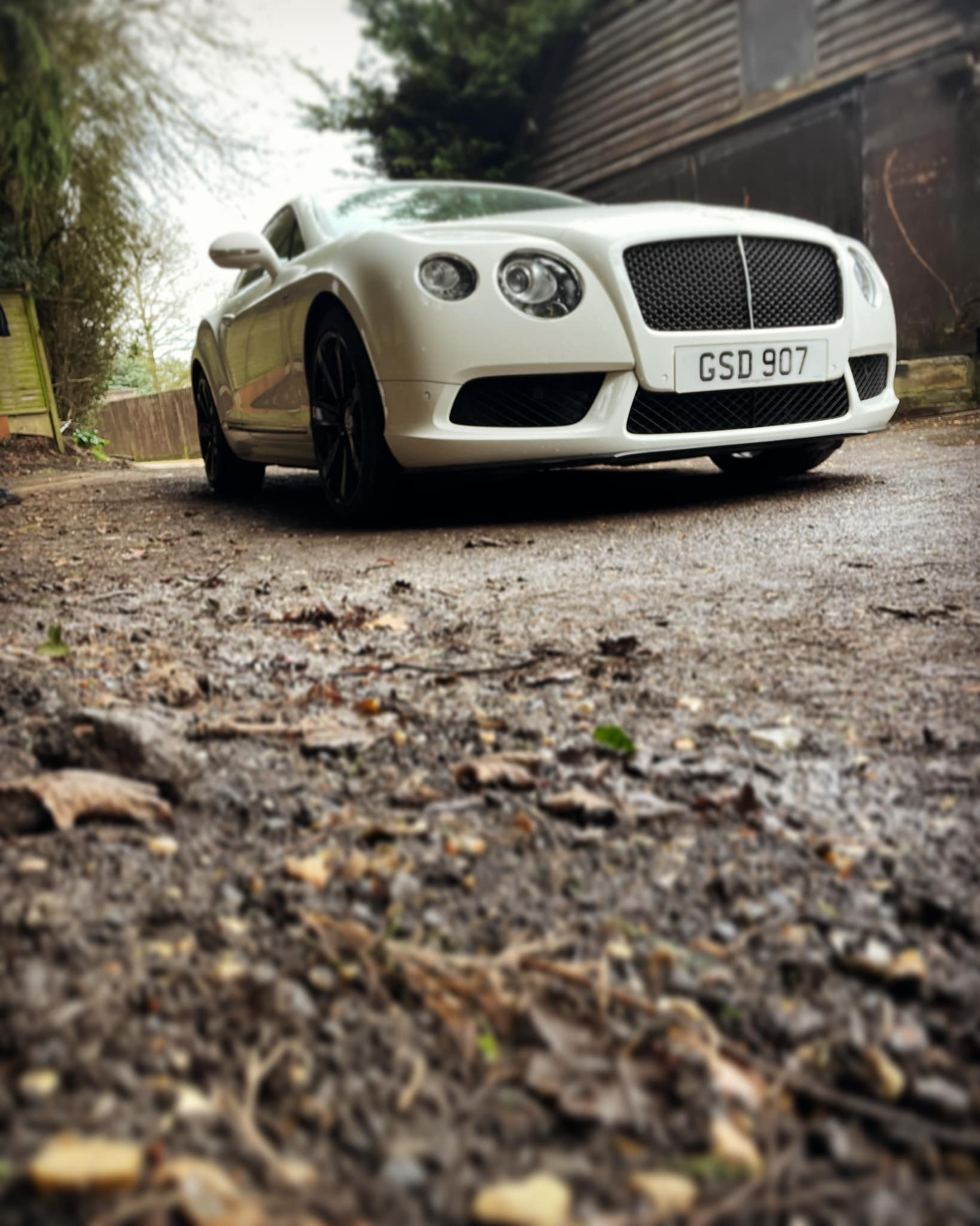 Bentley Continental GT